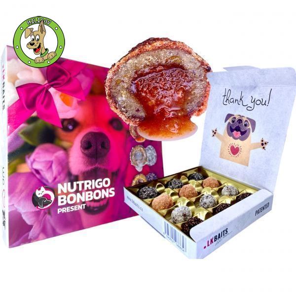 lk-baits-pet-nutrigo-bonbons-present-large-dog-treats-poslastice-za-pse-100g