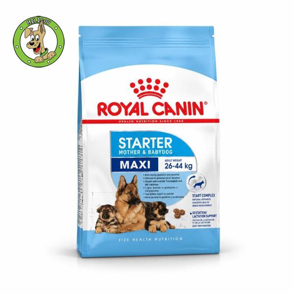 royal-canin-maxi-starter-pocetna-hrana-za-stence-velikih-rasa-i-njihove-majke-4kg
