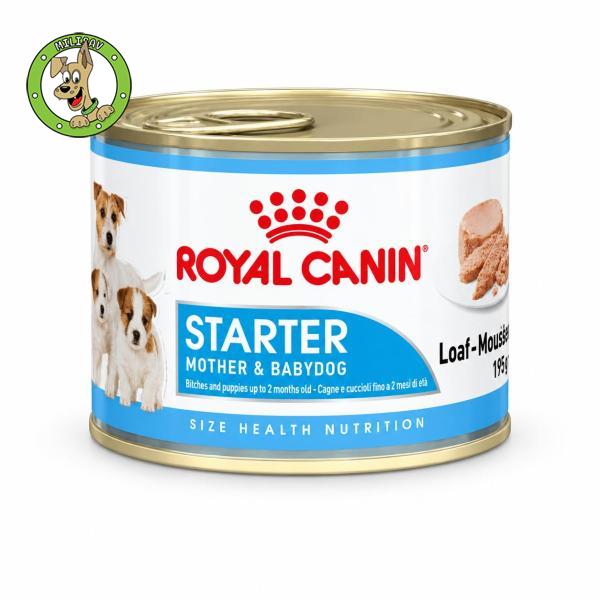 royal-canin-mini-starter-mousse-vlazna-startna-hrana-za-stence-malih-rasa-i-njihove-majke-195g